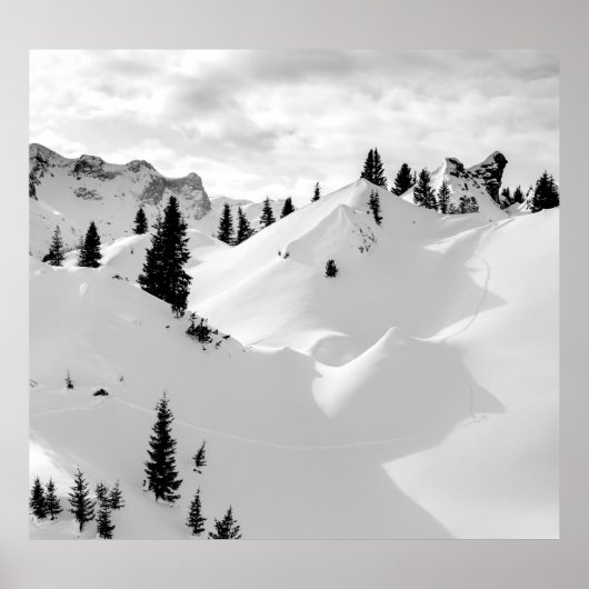 アルパインの風景:雪のモミの木の山 ポスター (正面)