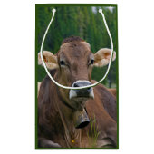 アルパインカウズ抱き枕 スモールペーパーバッグ (裏面)