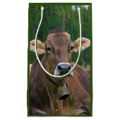 アルパインカウズ抱き枕 スモールペーパーバッグ (正面)