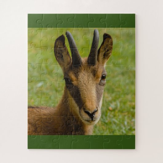 アルパインシャモアオンパズル ジグソーパズル (縦)