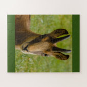 アルパインシャモアオンパズル ジグソーパズル (横)