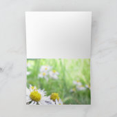 アルパインシリーズ カード (内部)