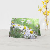 アルパインシリーズ カード (黄色い花)