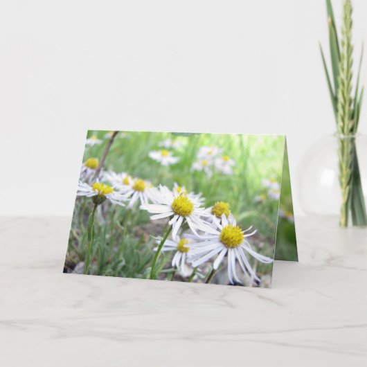 アルパインシリーズ カード (正面)