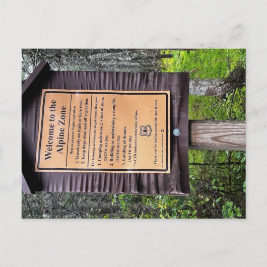 アルパインゾーン – ホワイトマウンテンズナショナルフォレスト ポストカード (正面)