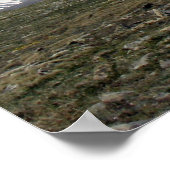 アルパインツンドラ諸島 ポスター (角)