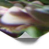 アルパインツンドラ諸島 ポスター (角)