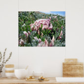 アルパインツンドラ諸島 ポスター (キッチン)