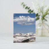 アルパインツンドラ ポストカード (スタンド正面)