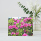 アルパインバラロドデンドンの油絵 ポストカード (スタンド正面)