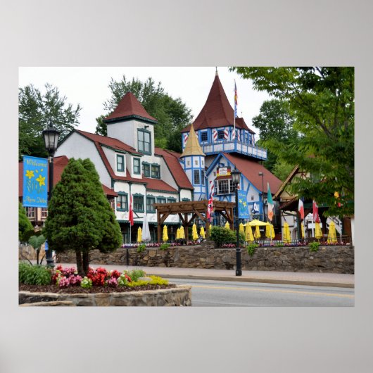 アルパインビレッジ ポスター (正面)