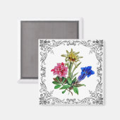 アルパインフラワー マグネット (正面/裏面)