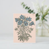 アルパインベルフラワーボタニカルイラストレーション ポストカード (スタンド正面)