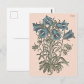 アルパインベルフラワーボタニカルイラストレーション ポストカード (正面/裏面)