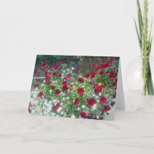 アルパインペチュニア付き折り畳みカード