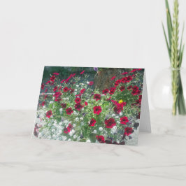 アルパインペチュニア付き折り畳みカード カード