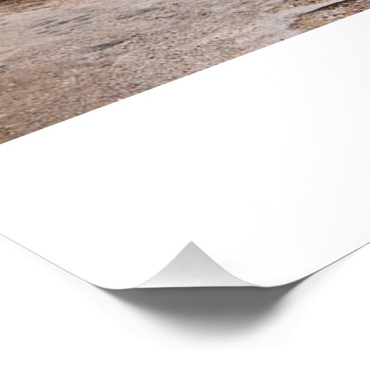 アルパインマウンテンレイクゴサセエンレイクオーストリア ポスター (コーナー)