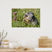 アルパインマルモ食べートの花 ポスター (キッチン)