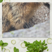 アルパインマーモットキッチンタオル キッチンタオル (折り畳み)