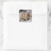 アルパインマーモットステッカー スクエアシール (バッグ)