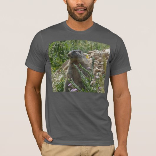 アルパインマーモットダウンTシャツ Tシャツ (正面)