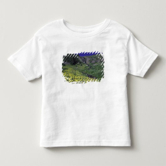アルパインミドウの滝と野花 3 トドラーTシャツ (正面)