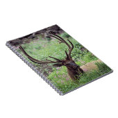 アルパインメドウで休むブルエルク〔雄ジカの〕枝角 ノートブック (右側)