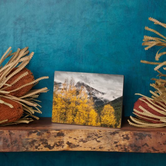 アルパインループ |コロラド州,シルバートン フォトプラーク (側面)