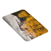 アルパインループ |コロラド州，シルバートン マグネット (右側)