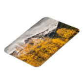 アルパインループ |コロラド州，シルバートン マグネット (左側)