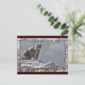 アルパイン葉マルモー ポストカード (スタンド正面)