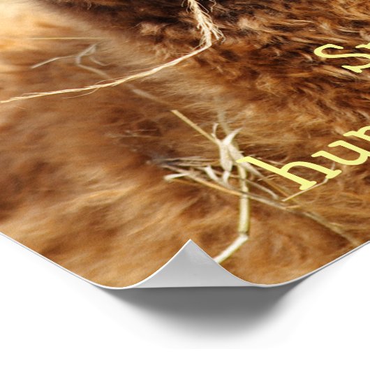 アルパカおもしろいポスター ポスター (角)