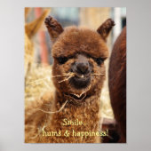 アルパカおもしろいポスター ポスター (正面)