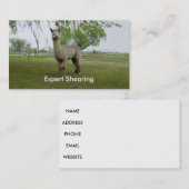 アルパカせん断 名刺 (正面/裏面)