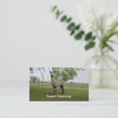 アルパカせん断 名刺 (スタンド正面)