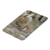 アルパカとバニーキス! マグネット (左側)