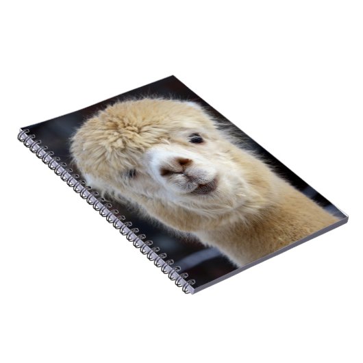 アルパカのかわいい顔 ノートブック (右側)