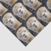 アルパカのかわいい顔 薄葉紙 (詳細)