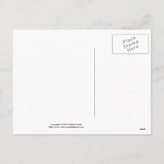 アルパカのクリスマスの郵便はがき シーズンポストカード (裏面)