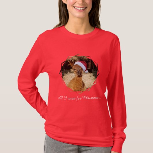 アルパカのクリスマスのTシャツ Tシャツ (正面)