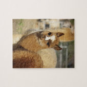 アルパカのパズルJuju ジグソーパズル (横)