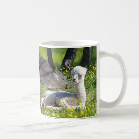 アルパカのマグ コーヒーマグカップ (右)