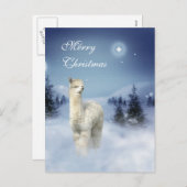 アルパカの冬夜クリスマスの郵便はがき シーズンポストカード (正面/裏面)