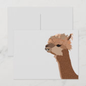 アルパカの動物 かわいい ポストカード (正面/裏面)