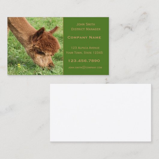 アルパカの名刺 名刺 (正面/裏面)