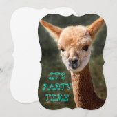 アルパカの招待状 招待状 (正面/裏面)