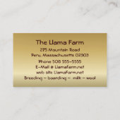 アルパカの混合物の~の名刺 名刺 (裏面)