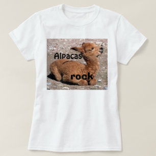 アルパカの石 Tシャツ