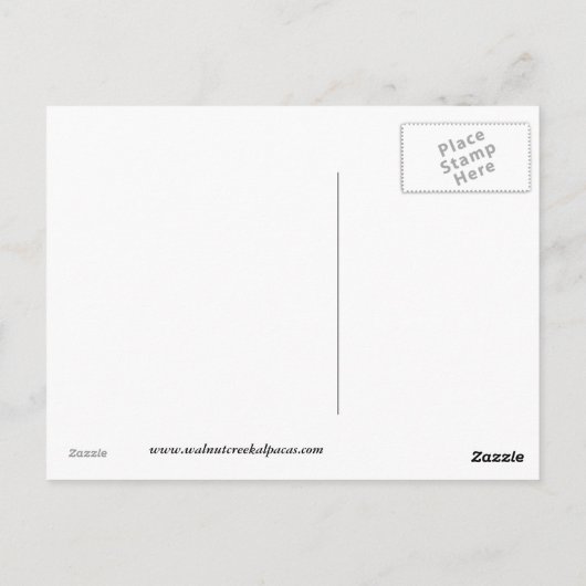 アルパカの祈りポストカード ポストカード (裏面)