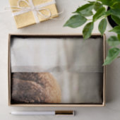 アルパカの茶色と白の動物の写真 薄葉紙 (ギフト)